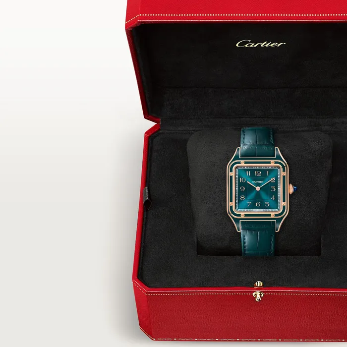 Cartier SantosDumont watch WGSA0098 Watches