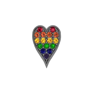 Slider Rainbow Heart Charm SG Fine Charm Necklaces